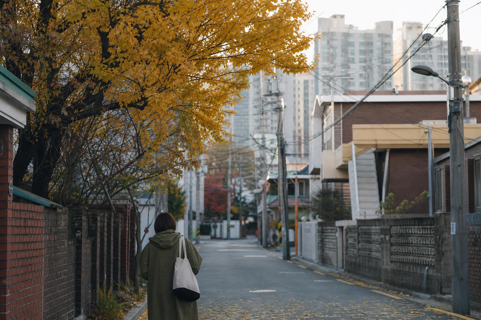 가을 햇살 아래 한국의 아파트 단지와 주택가 전경