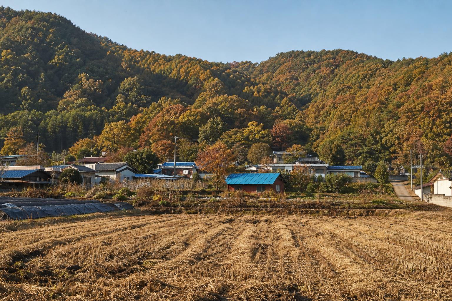 가을걷이가 끝난 한국 농촌 마을과 뒷산 풍경