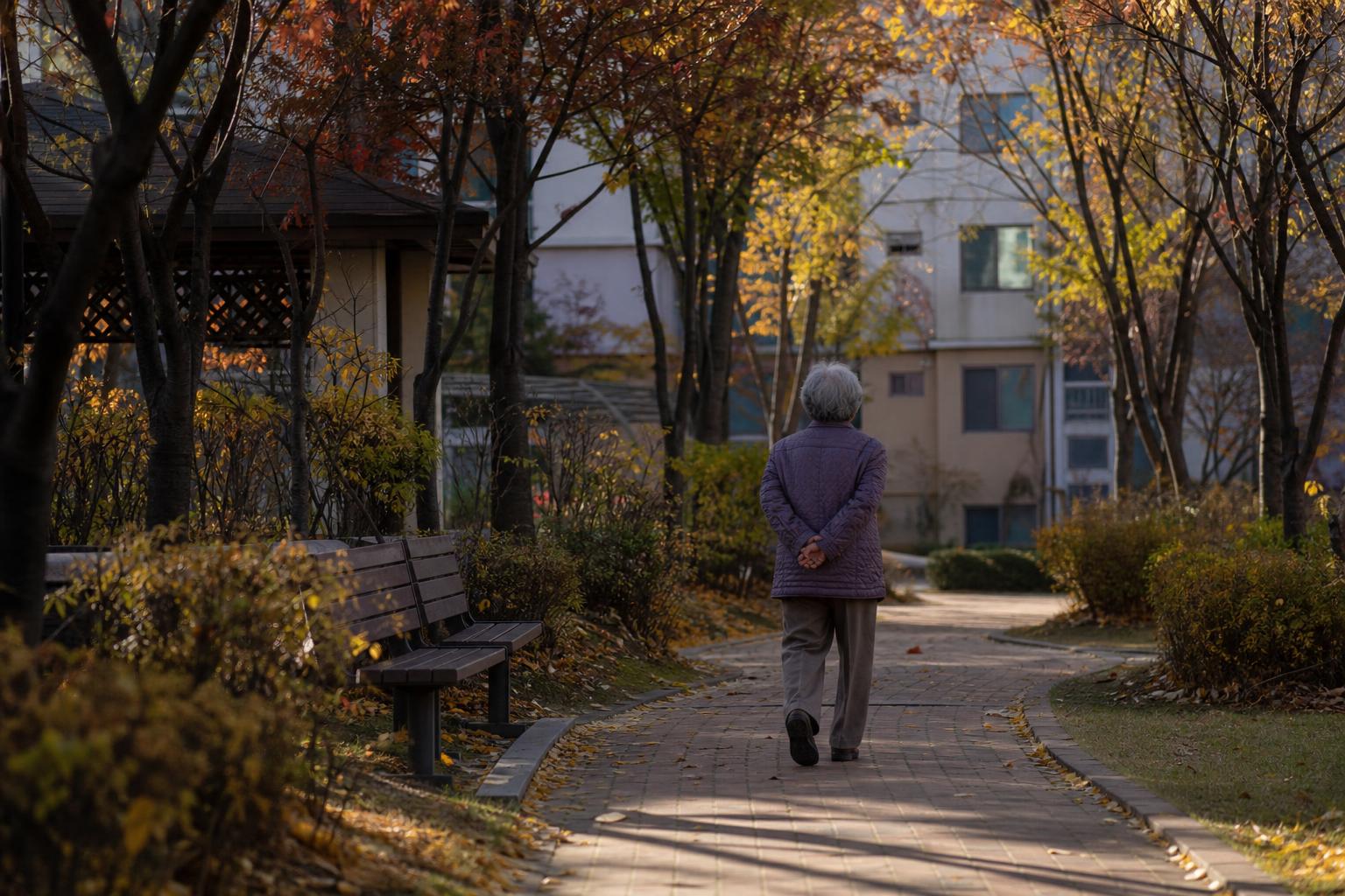 가을 햇살이 드는 한국 아파트형 주거 단지의 산책로와 벤치
